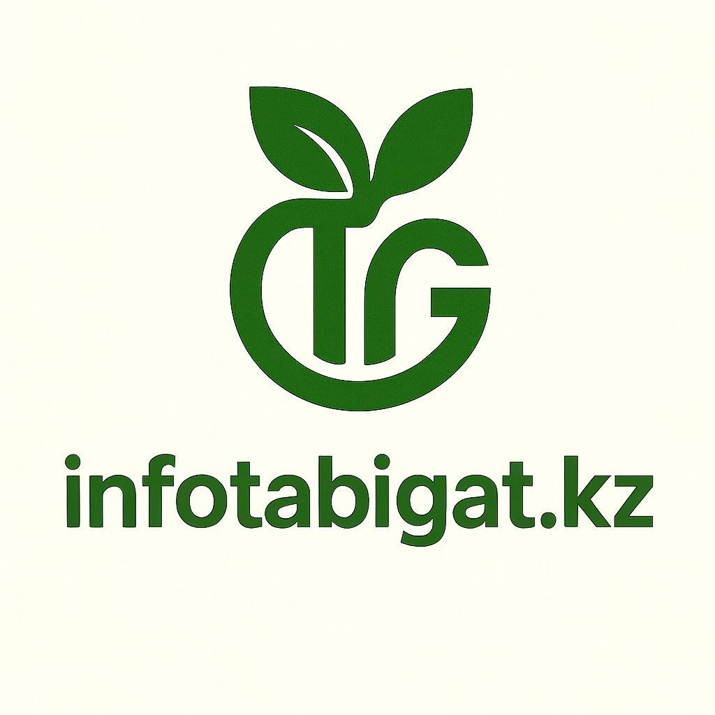 Tabigat.kz