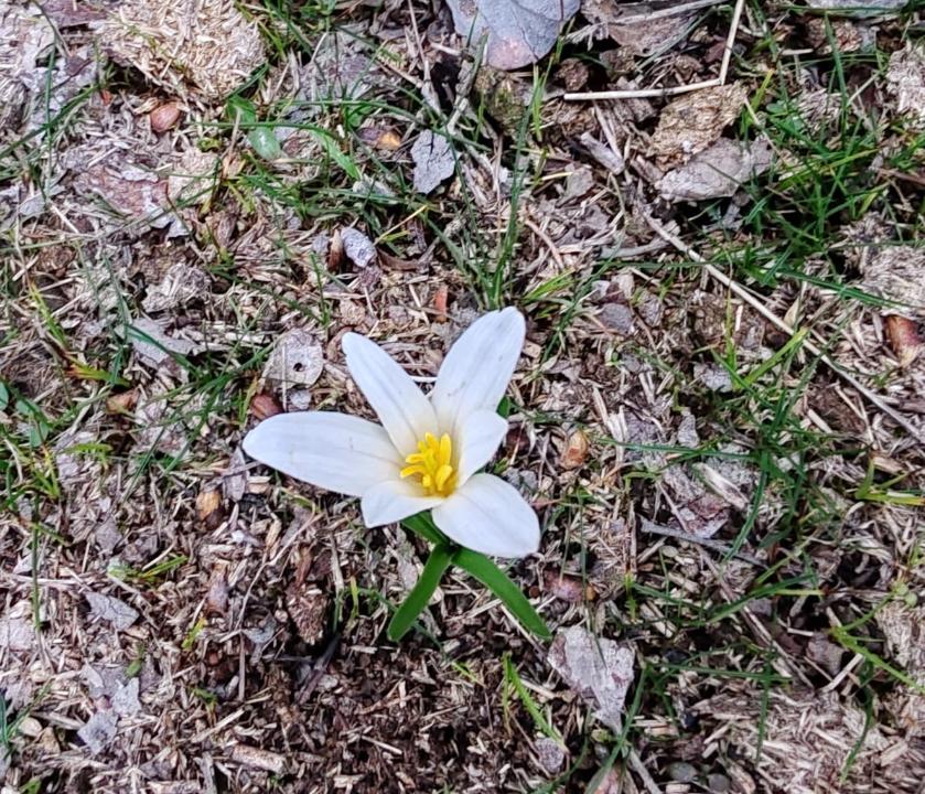 Суреттердің авторы – Ғани Назарбек